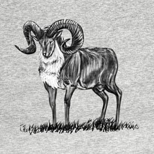 Urial T-Shirt